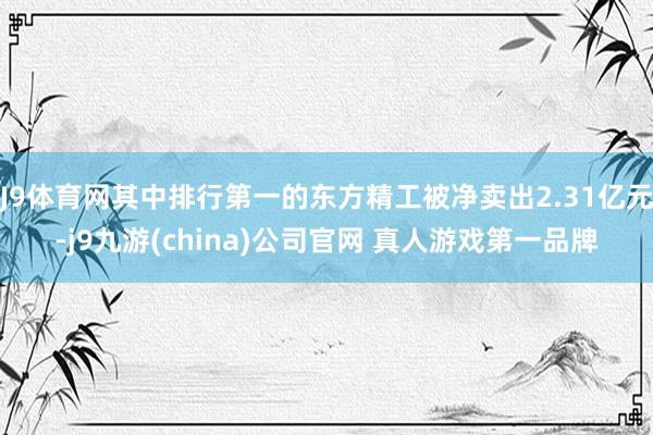 J9体育网其中排行第一的东方精工被净卖出2.31亿元-j9九游(china)公司官网 真人游戏第一品牌