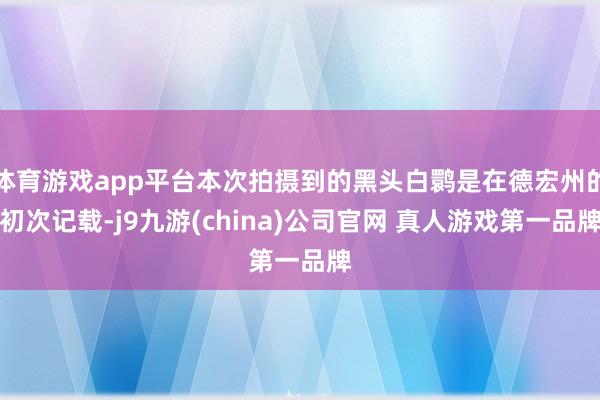 体育游戏app平台本次拍摄到的黑头白鹮是在德宏州的初次记载-j9九游(china)公司官网 真人游戏第一品牌
