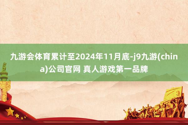 九游会体育累计至2024年11月底-j9九游(china)公司官网 真人游戏第一品牌