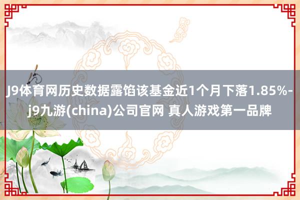 J9体育网历史数据露馅该基金近1个月下落1.85%-j9九游(china)公司官网 真人游戏第一品牌