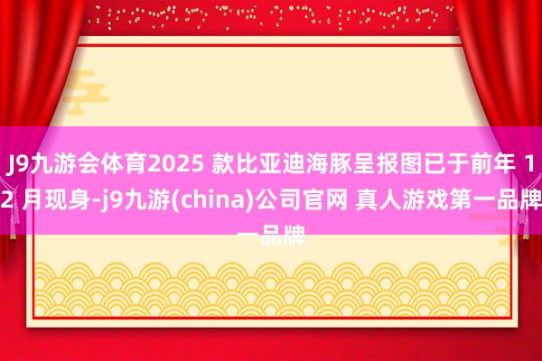 J9九游会体育2025 款比亚迪海豚呈报图已于前年 12 月现身-j9九游(china)公司官网 真人游戏第一品牌
