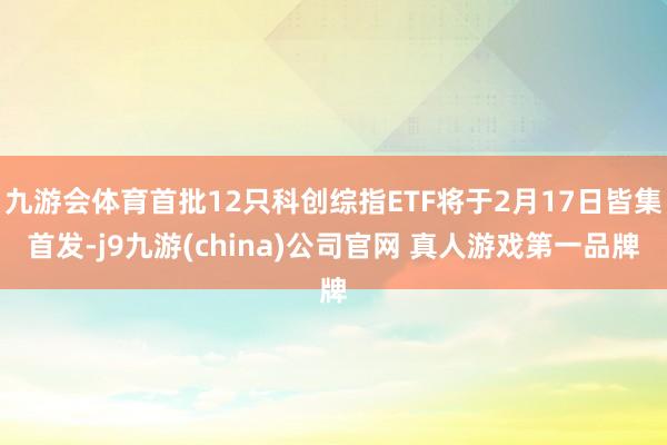 九游会体育首批12只科创综指ETF将于2月17日皆集首发-j9九游(china)公司官网 真人游戏第一品牌