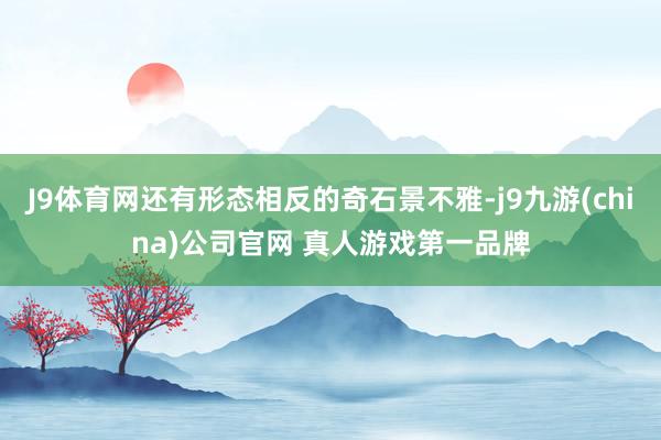 J9体育网还有形态相反的奇石景不雅-j9九游(china)公司官网 真人游戏第一品牌