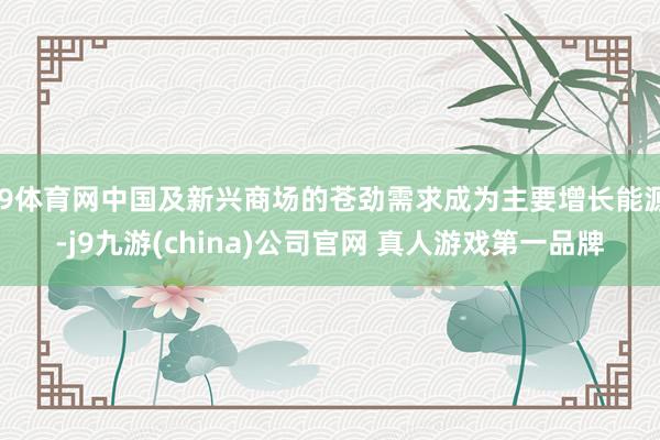 J9体育网中国及新兴商场的苍劲需求成为主要增长能源-j9九游(china)公司官网 真人游戏第一品牌