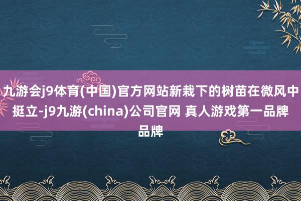 九游会j9体育(中国)官方网站新栽下的树苗在微风中挺立-j9九游(china)公司官网 真人游戏第一品牌