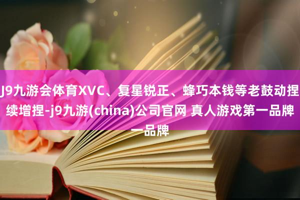 J9九游会体育XVC、复星锐正、蜂巧本钱等老鼓动捏续增捏-j9九游(china)公司官网 真人游戏第一品牌