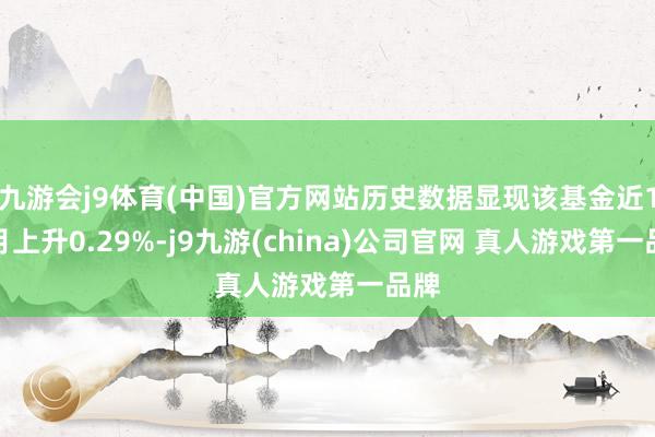九游会j9体育(中国)官方网站历史数据显现该基金近1个月上升0.29%-j9九游(china)公司官网 真人游戏第一品牌