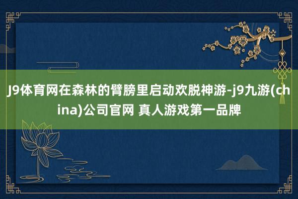 J9体育网在森林的臂膀里启动欢脱神游-j9九游(china)公司官网 真人游戏第一品牌