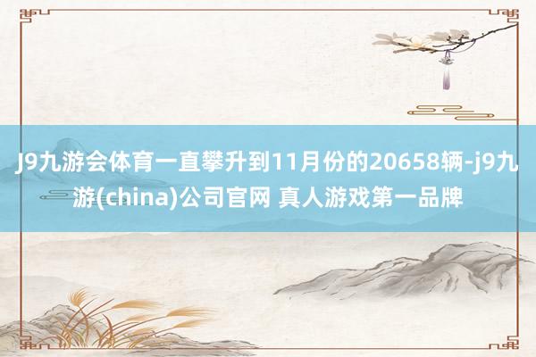 J9九游会体育一直攀升到11月份的20658辆-j9九游(china)公司官网 真人游戏第一品牌