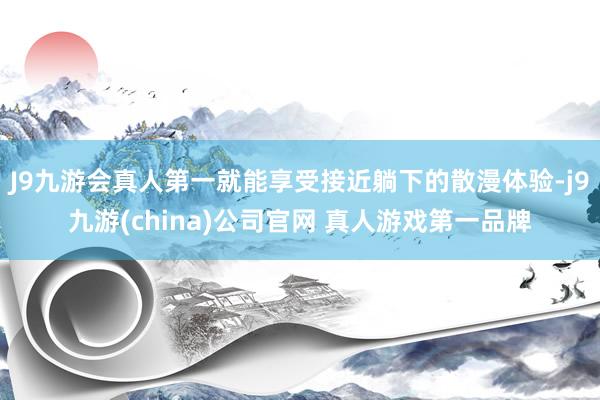 J9九游会真人第一就能享受接近躺下的散漫体验-j9九游(china)公司官网 真人游戏第一品牌