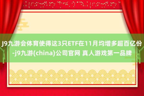 J9九游会体育使得这3只ETF在11月均增多超百亿份-j9九游(china)公司官网 真人游戏第一品牌