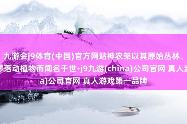 九游会j9体育(中国)官方网站神农架以其原始丛林、峻岭草甸和寥落动植物而闻名于世-j9九游(china)公司官网 真人游戏第一品牌