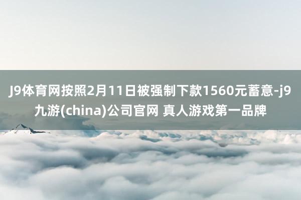 J9体育网按照2月11日被强制下款1560元蓄意-j9九游(china)公司官网 真人游戏第一品牌
