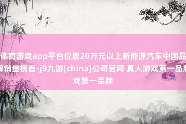 体育游戏app平台位居20万元以上新能源汽车中国品牌销量榜首-j9九游(china)公司官网 真人游戏第一品牌