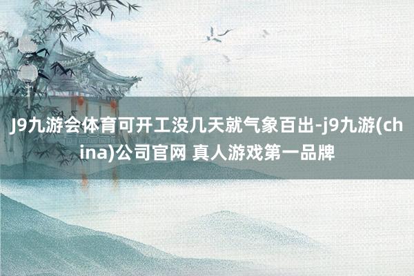 J9九游会体育可开工没几天就气象百出-j9九游(china)公司官网 真人游戏第一品牌