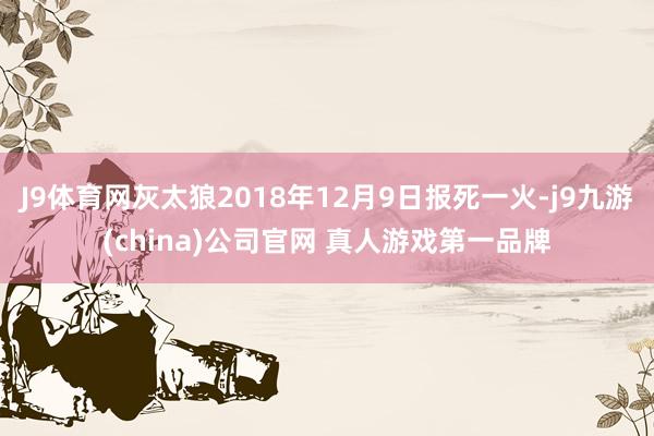 J9体育网灰太狼2018年12月9日报死一火-j9九游(china)公司官网 真人游戏第一品牌