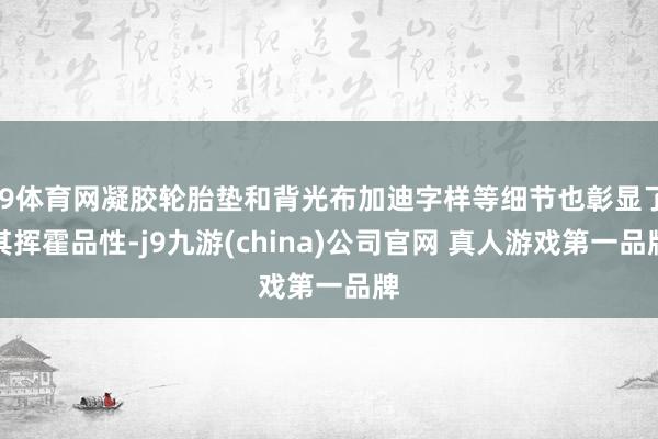 J9体育网凝胶轮胎垫和背光布加迪字样等细节也彰显了其挥霍品性-j9九游(china)公司官网 真人游戏第一品牌