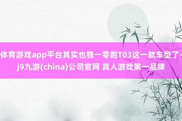 体育游戏app平台其实也独一零跑T03这一款车型了-j9九游(china)公司官网 真人游戏第一品牌