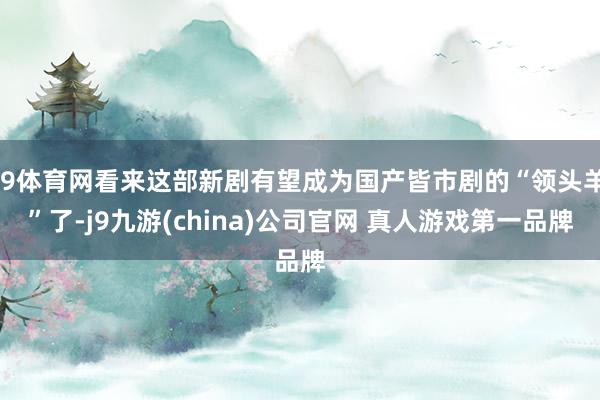 J9体育网看来这部新剧有望成为国产皆市剧的“领头羊”了-j9九游(china)公司官网 真人游戏第一品牌