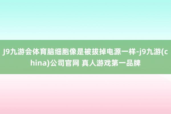 J9九游会体育脑细胞像是被拔掉电源一样-j9九游(china)公司官网 真人游戏第一品牌