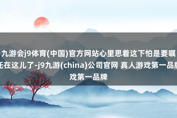 九游会j9体育(中国)官方网站心里思着这下怕是要嘱托在这儿了-j9九游(china)公司官网 真人游戏第一品牌