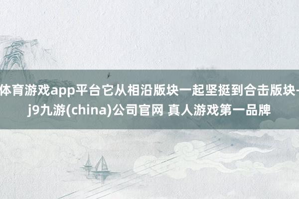 体育游戏app平台它从相沿版块一起坚挺到合击版块-j9九游(china)公司官网 真人游戏第一品牌