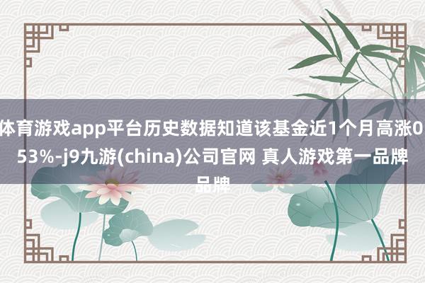 体育游戏app平台历史数据知道该基金近1个月高涨0.53%-j9九游(china)公司官网 真人游戏第一品牌