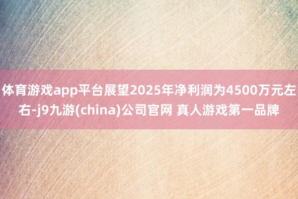 体育游戏app平台展望2025年净利润为4500万元左右-j9九游(china)公司官网 真人游戏第一品牌