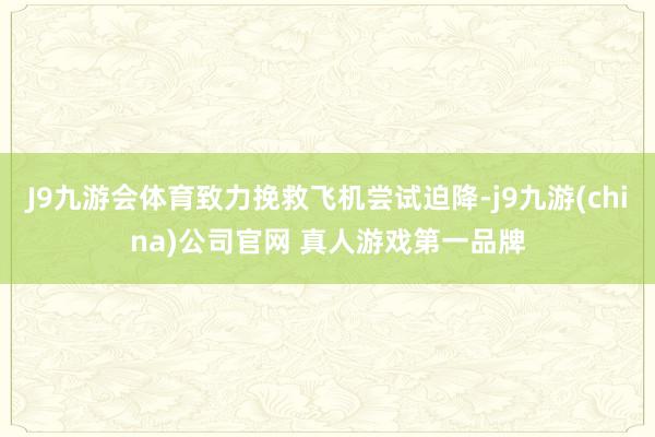 J9九游会体育致力挽救飞机尝试迫降-j9九游(china)公司官网 真人游戏第一品牌