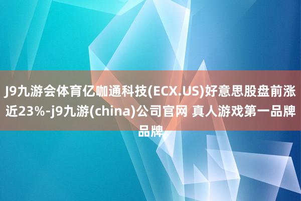 J9九游会体育亿咖通科技(ECX.US)好意思股盘前涨近23%-j9九游(china)公司官网 真人游戏第一品牌