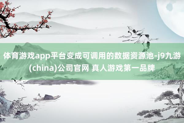 体育游戏app平台变成可调用的数据资源池-j9九游(china)公司官网 真人游戏第一品牌